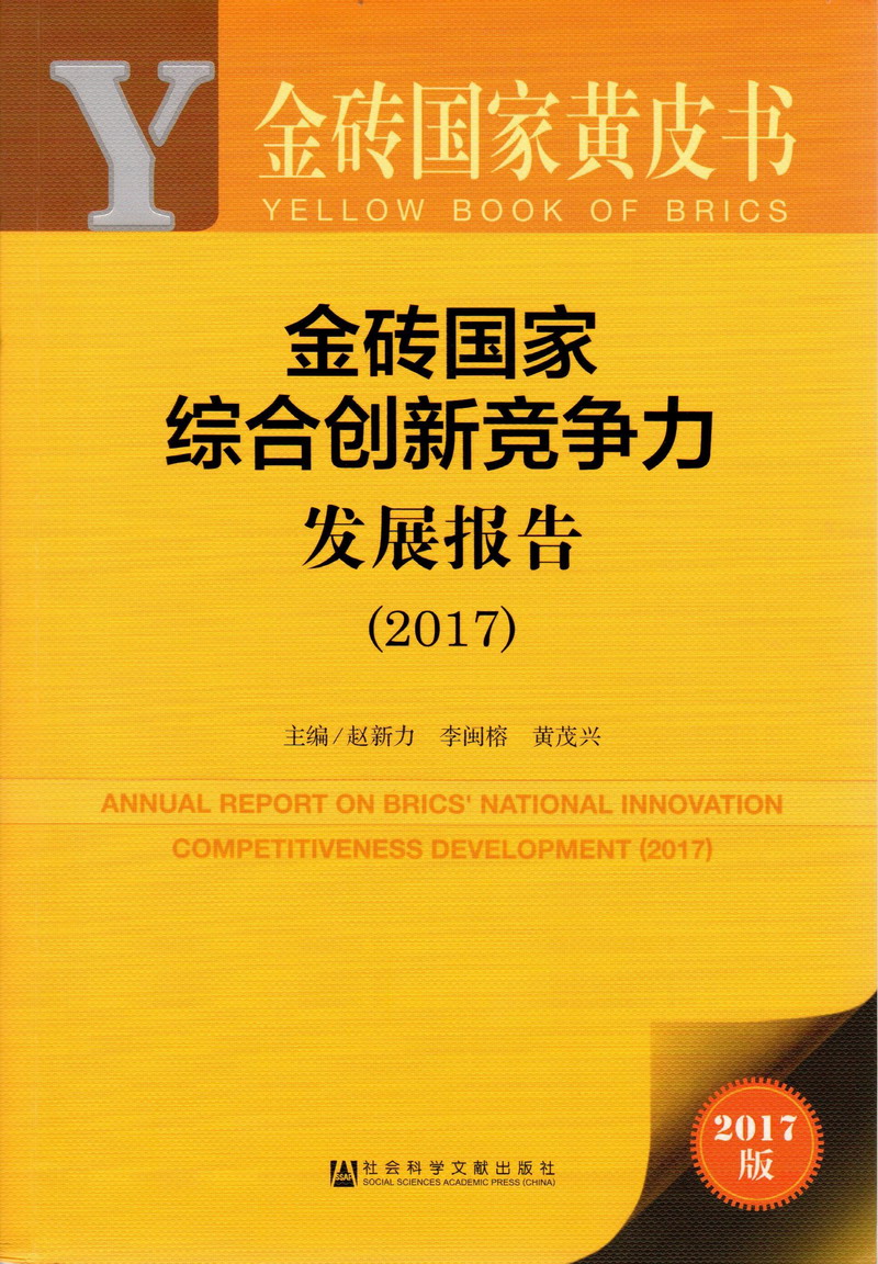 大鸡巴操我探花欧美亚洲金砖国家综合创新竞争力发展报告（2017）